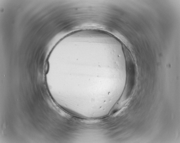 X0000059851296200511181529