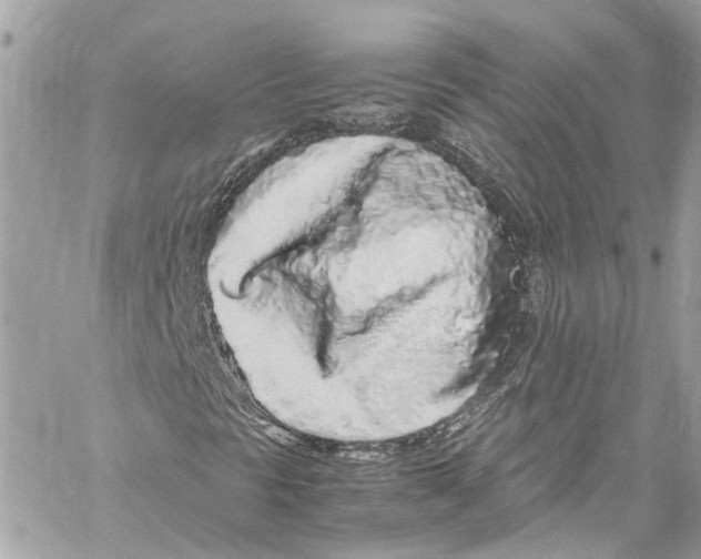 X0000059851297200511181528