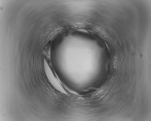 X0000059851298200511181528