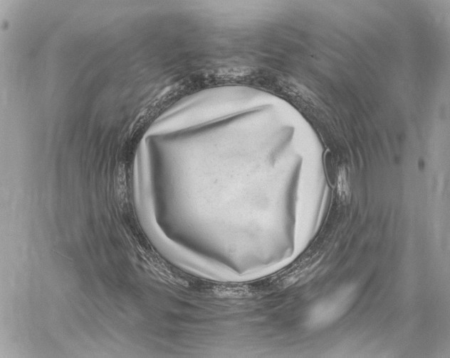 X0000059851299200511181528