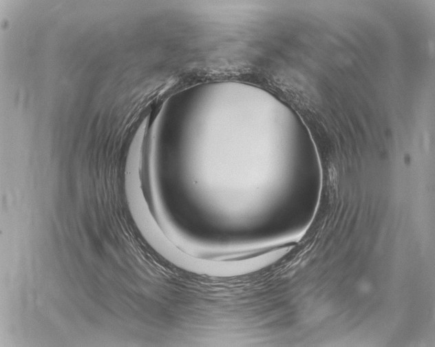 X0000059851300200511181528