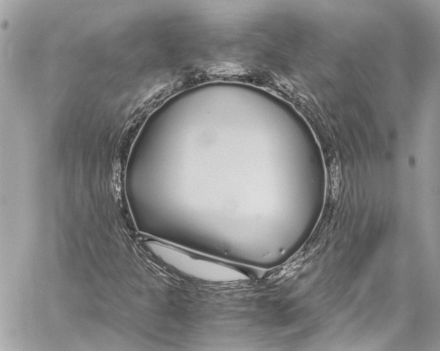 X0000059851301200511181528