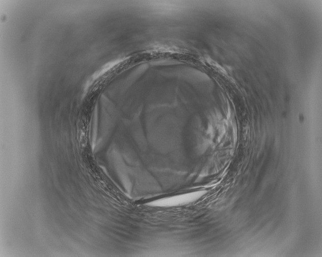 X0000059851303200511181528