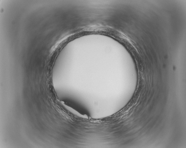 X0000059851304200511181528