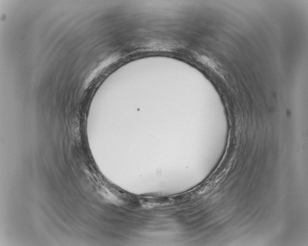 X0000059851307200511181528