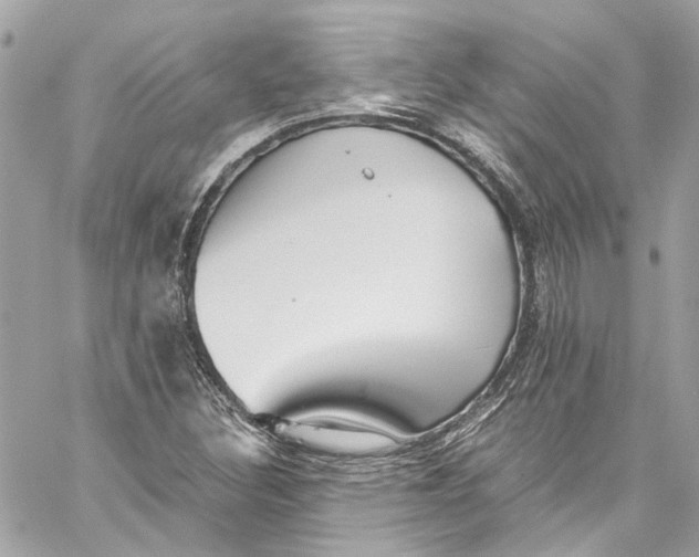 X0000059851308200511181528