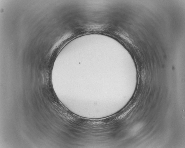 X0000059851309200511181528