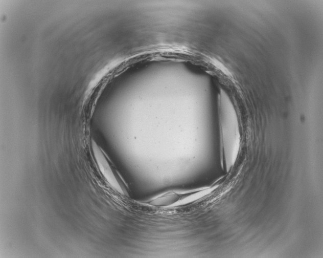 X0000059851310200511181528