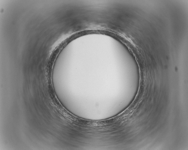 X0000059851311200511181528