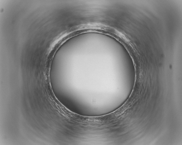 X0000059851312200511181528