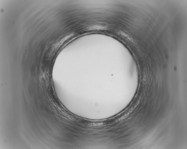 X0000059851313200511181528