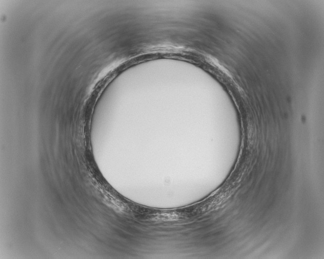 X0000059851315200511181528