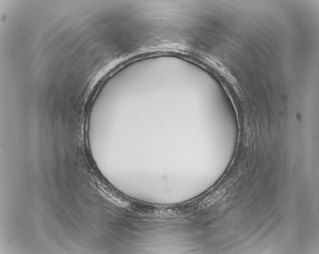 X0000059851316200511181528