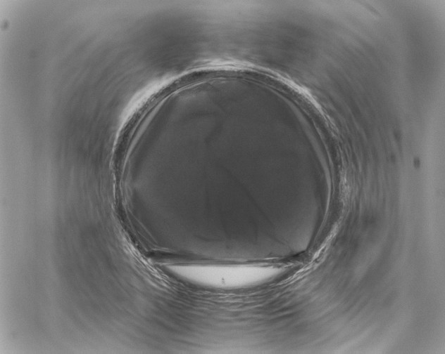 X0000059851319200511181528