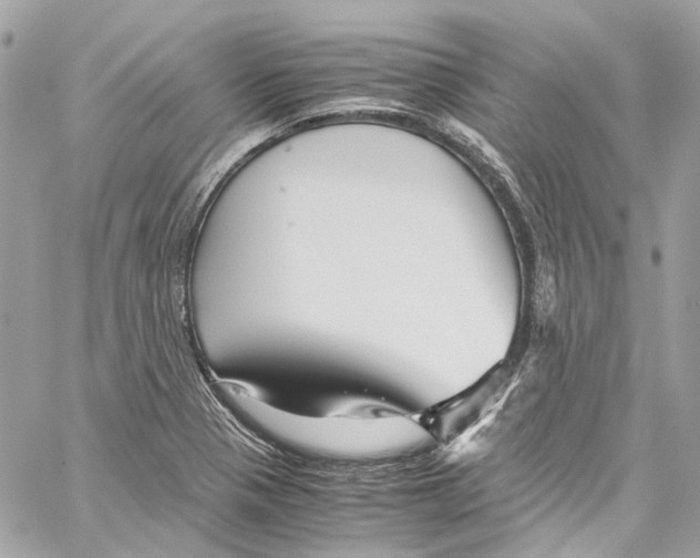 X0000059851321200511181528