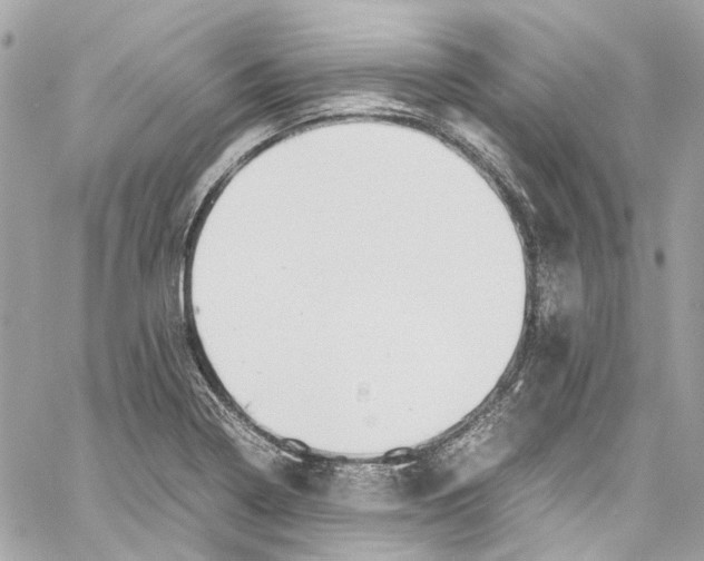 X0000059851322200511181528