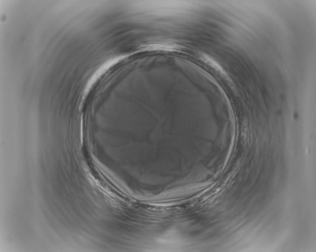 X0000059851323200511181528