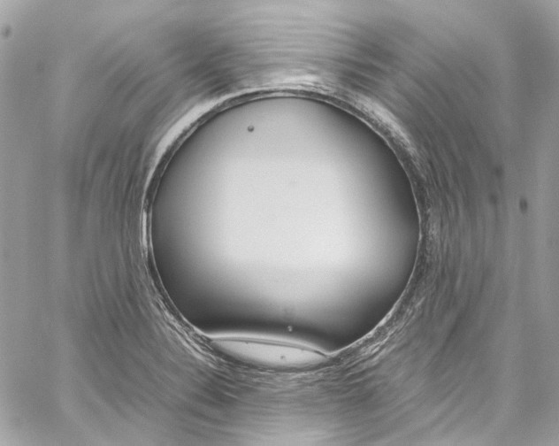 X0000059851324200511181528