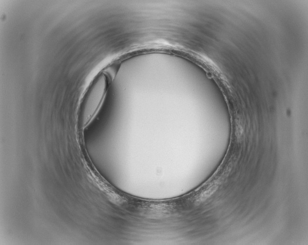 X0000059851326200511181528