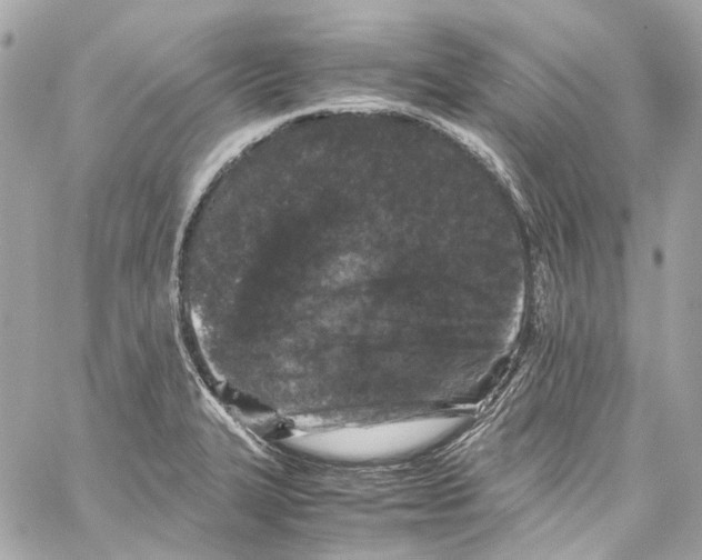 X0000059851327200511181528