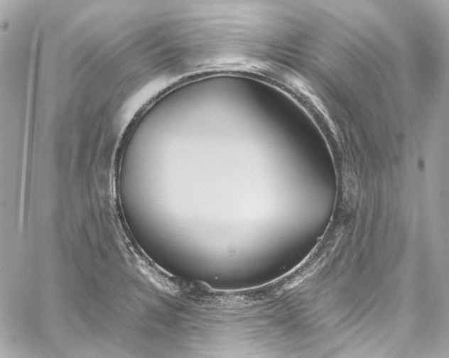 X0000059851328200511181528