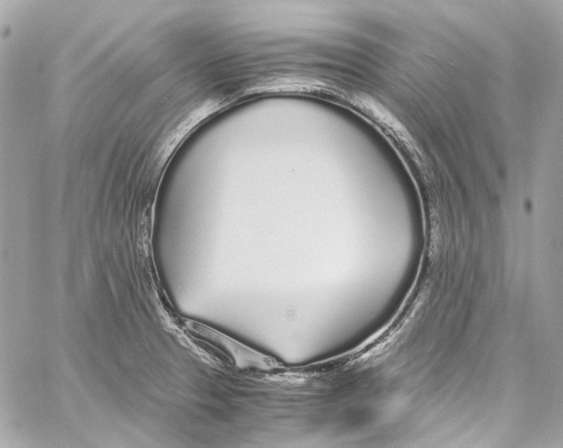 X0000059851329200511181528