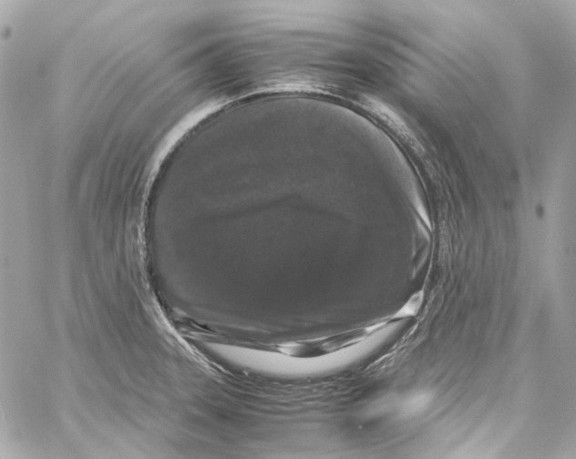 X0000059851331200511181528