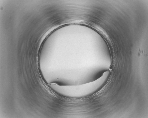 X0000059851332200511181528