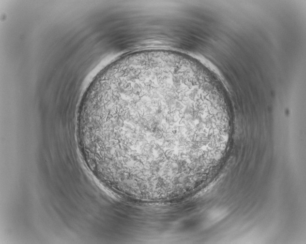 X0000059851333200511181528