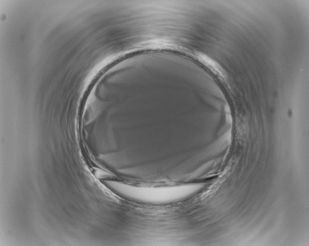 X0000059851334200511181528