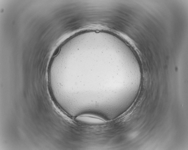 X0000059851335200511181529