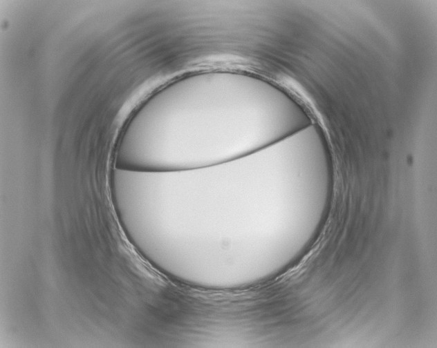 X0000059851336200511181529