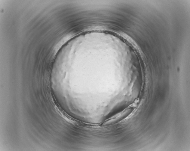 X0000059851337200511181529