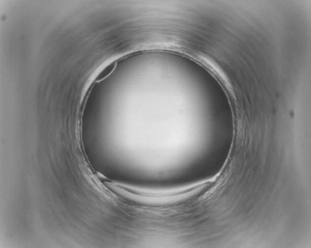 X0000059851340200511181529