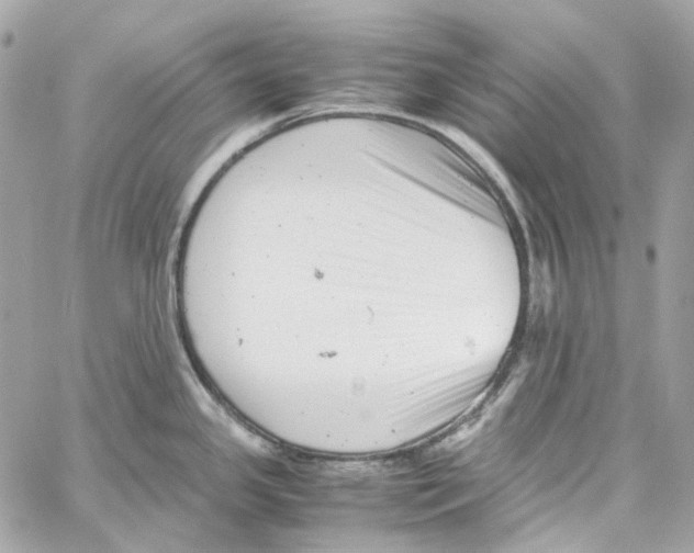 X0000059851341200511181529