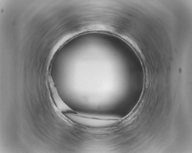 X0000059851342200511181529