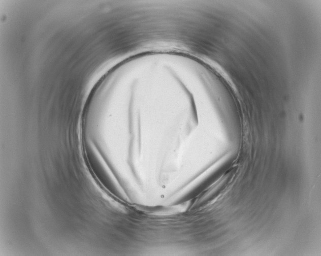 X0000059851343200511181529