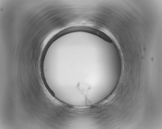 X0000059851344200511181529