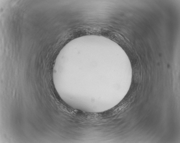 X0000059851345200511181528