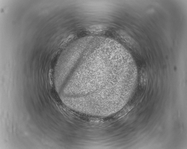 X0000059851346200511181528