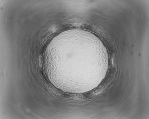 X0000059851347200511181528