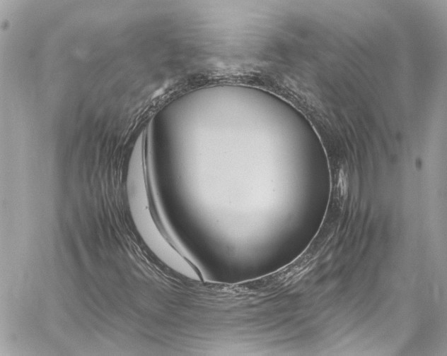 X0000059851348200511181528