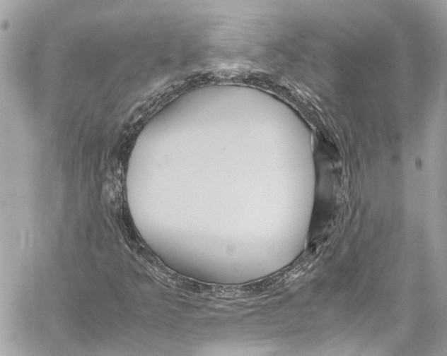 X0000059851349200511181528