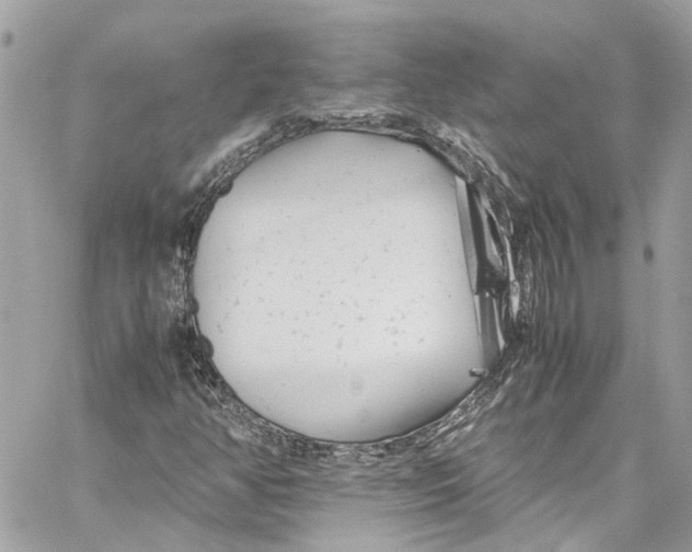 X0000059851350200511181528