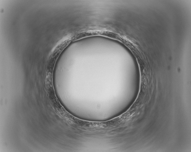 X0000059851351200511181528