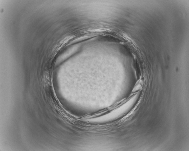 X0000059851353200511181528