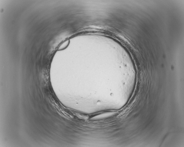 X0000059851355200511181528