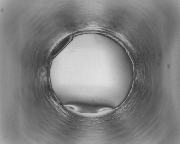 X0000059851356200511181528