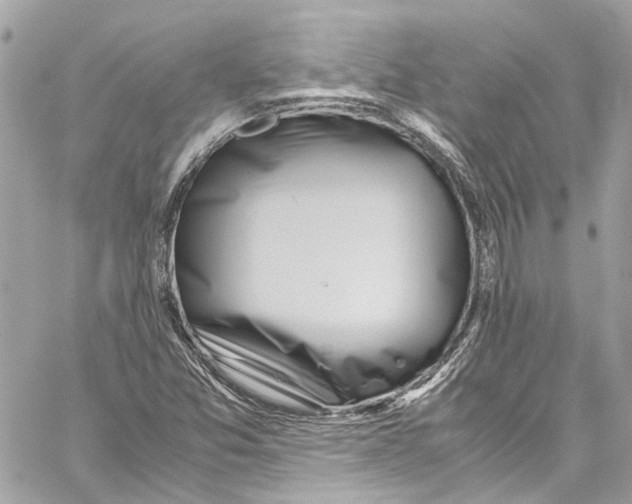 X0000059851357200511181528