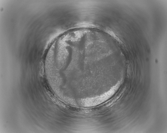 X0000059851358200511181528